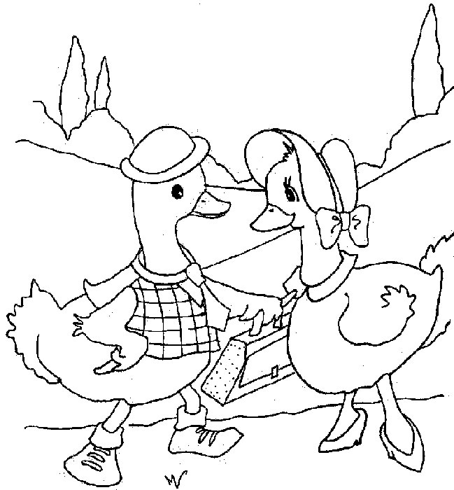 Pato #7662
