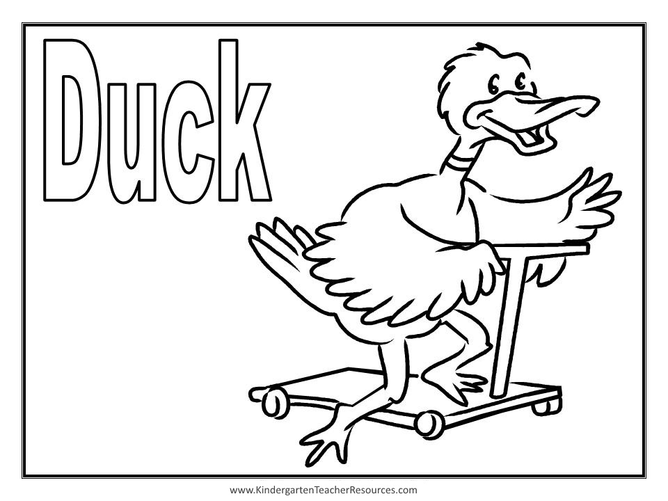 Pato #7672
