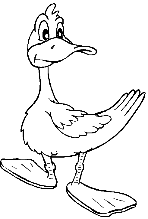 Pato #7674