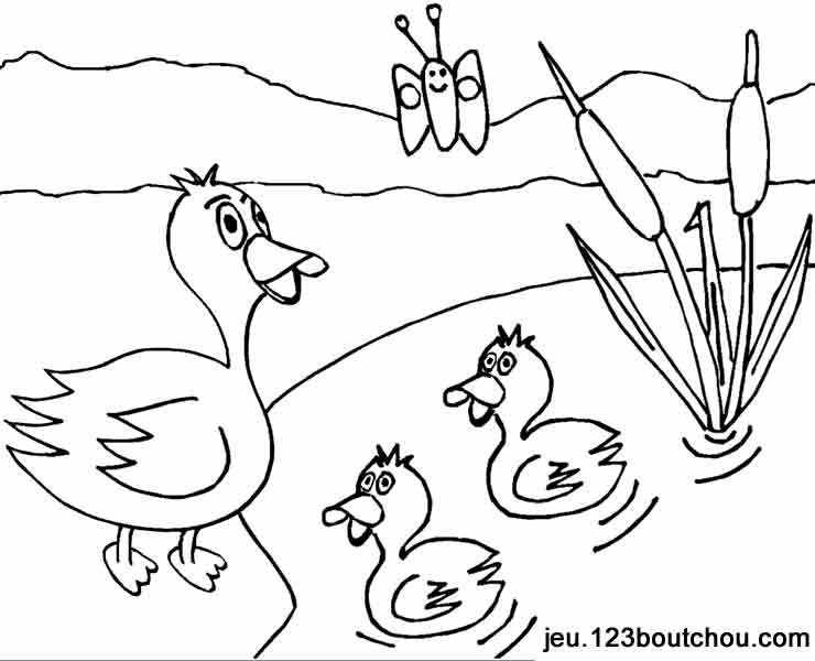 Pato #7675