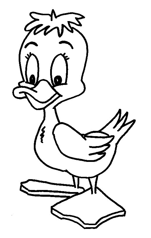Pato #7676