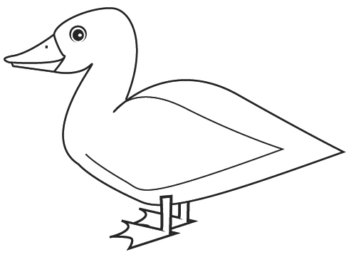 Pato #7683