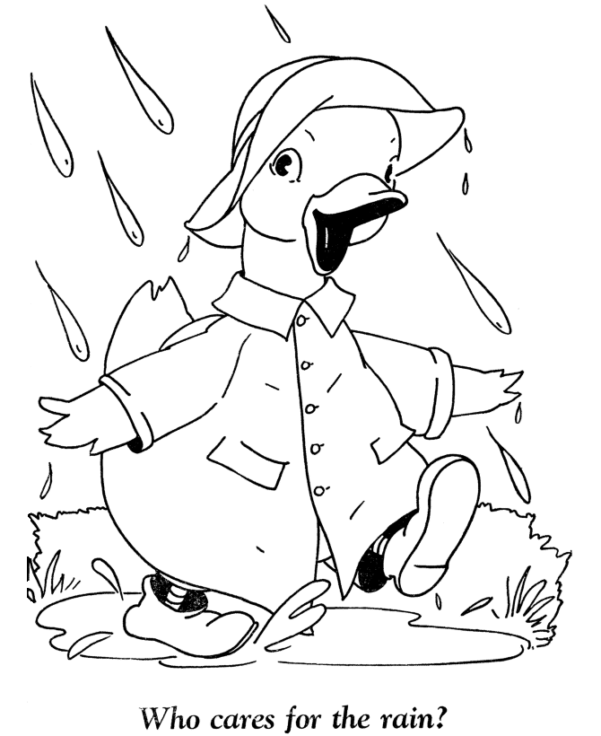Pato #7685