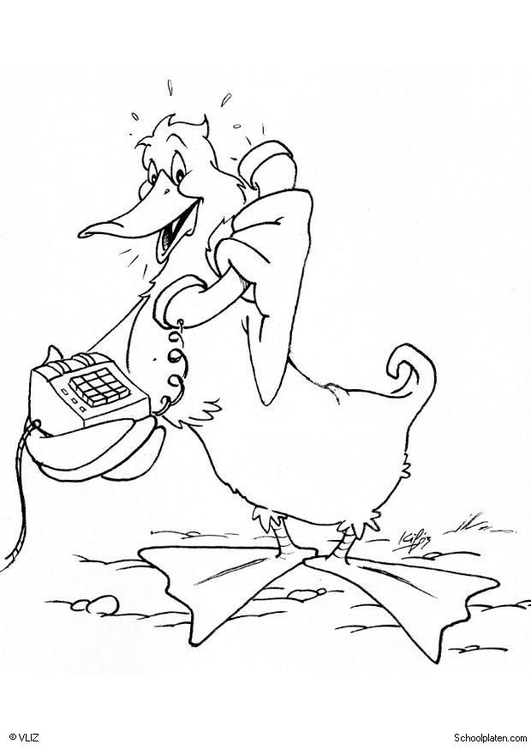 Pato #7688
