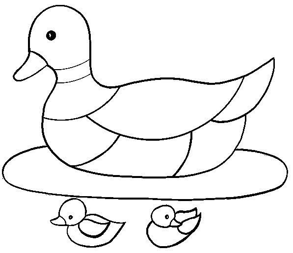 Pato #7689
