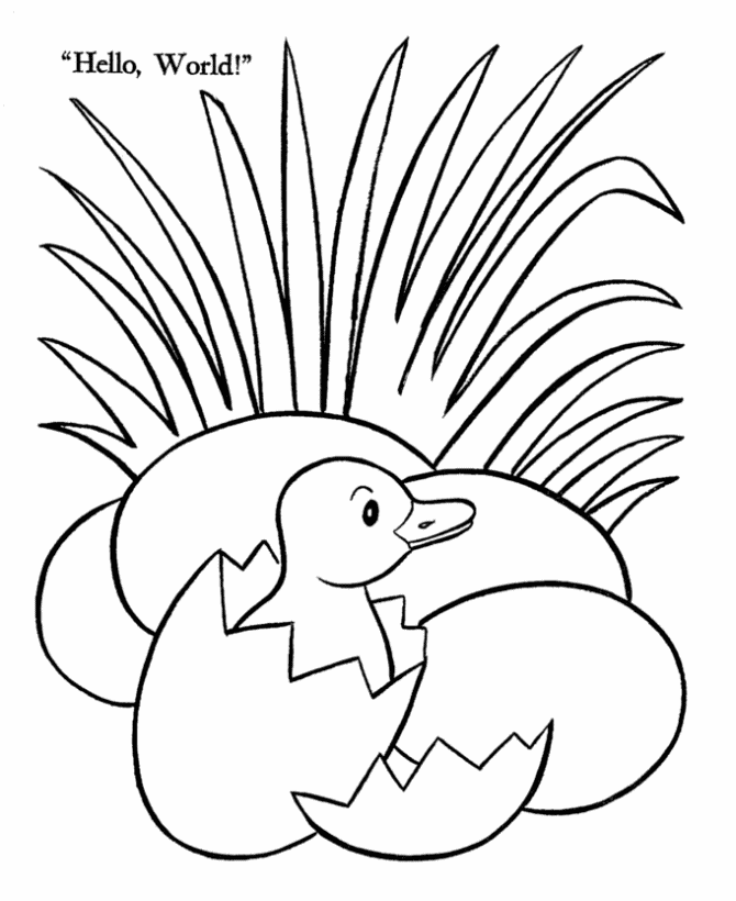 Pato #7690