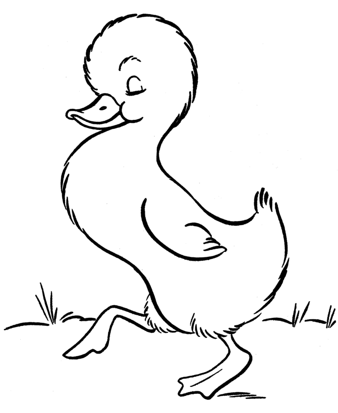 Pato #7691