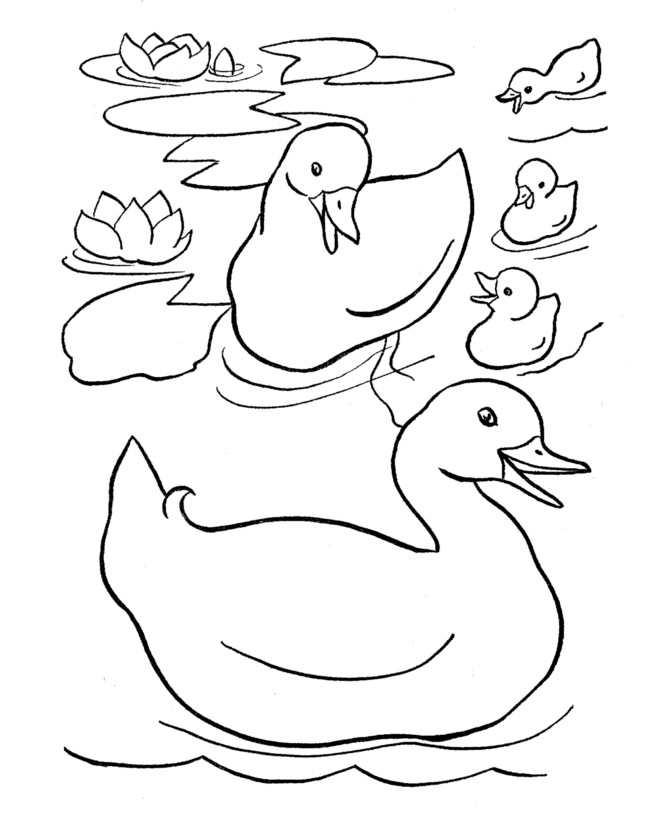 Pato #7692