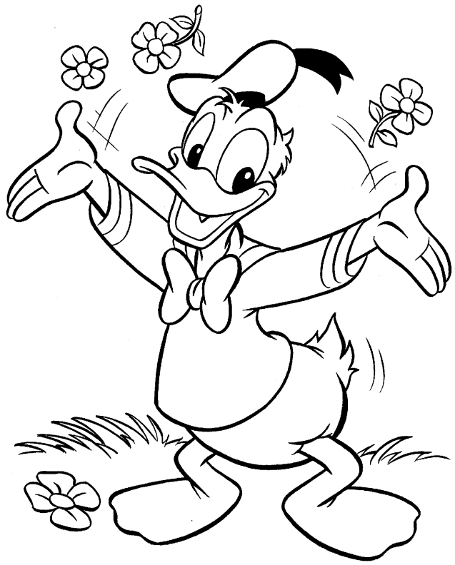 Pato #7693