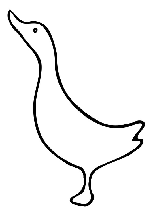 Pato #7697
