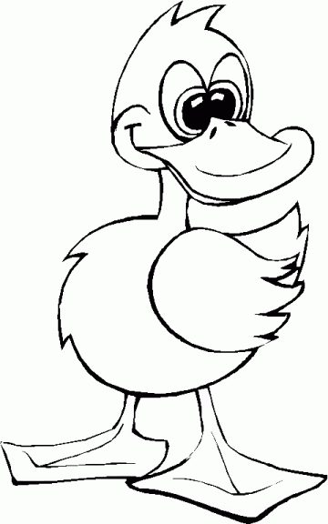 Pato #7703