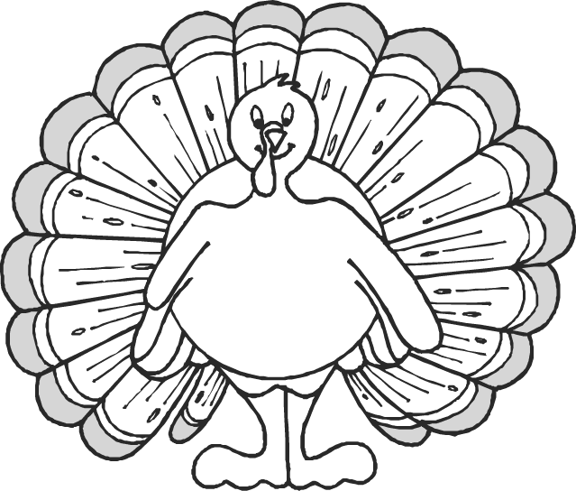 Pavo #7715