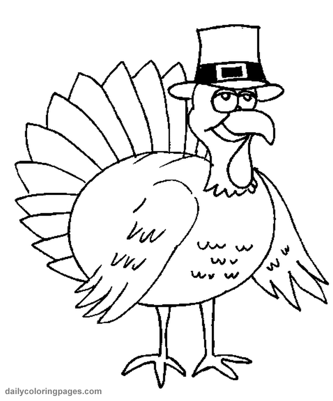 Pavo #7724