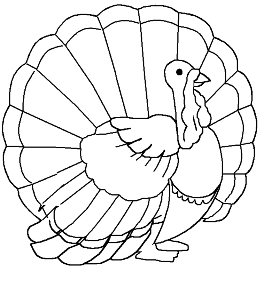 Pavo #7726