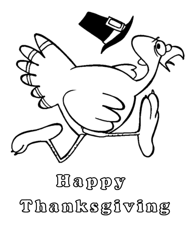 Pavo #7728