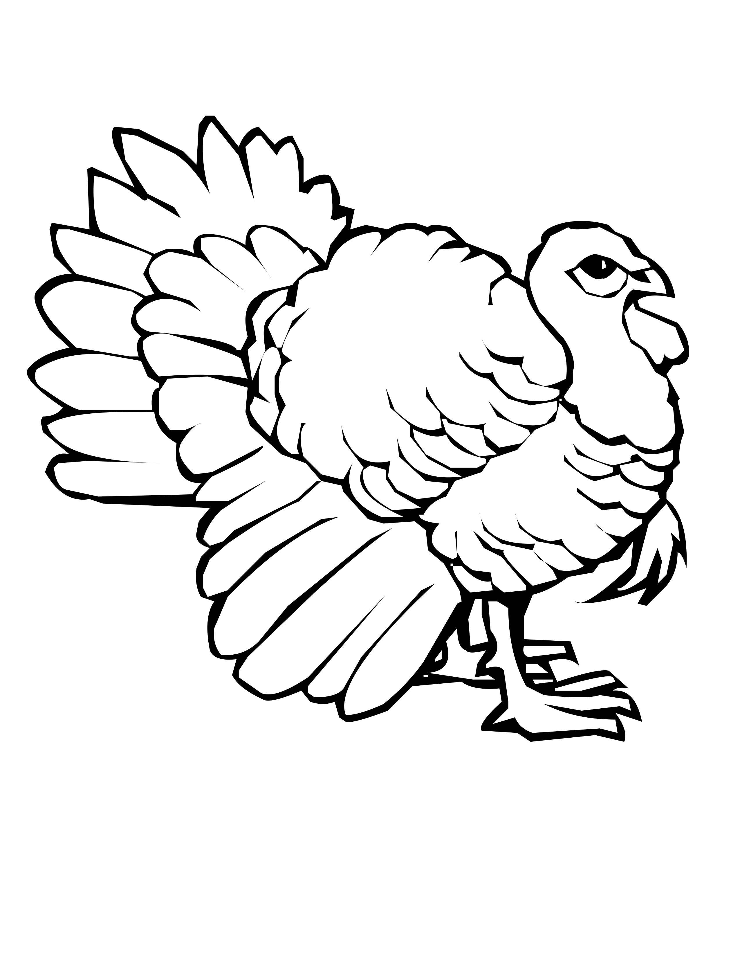 Pavo #7732
