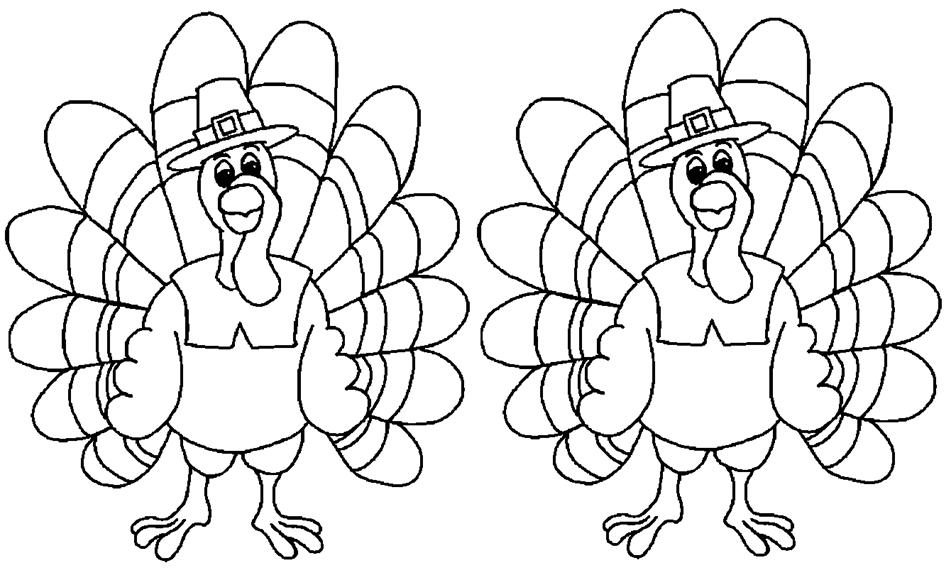 Pavo #7735