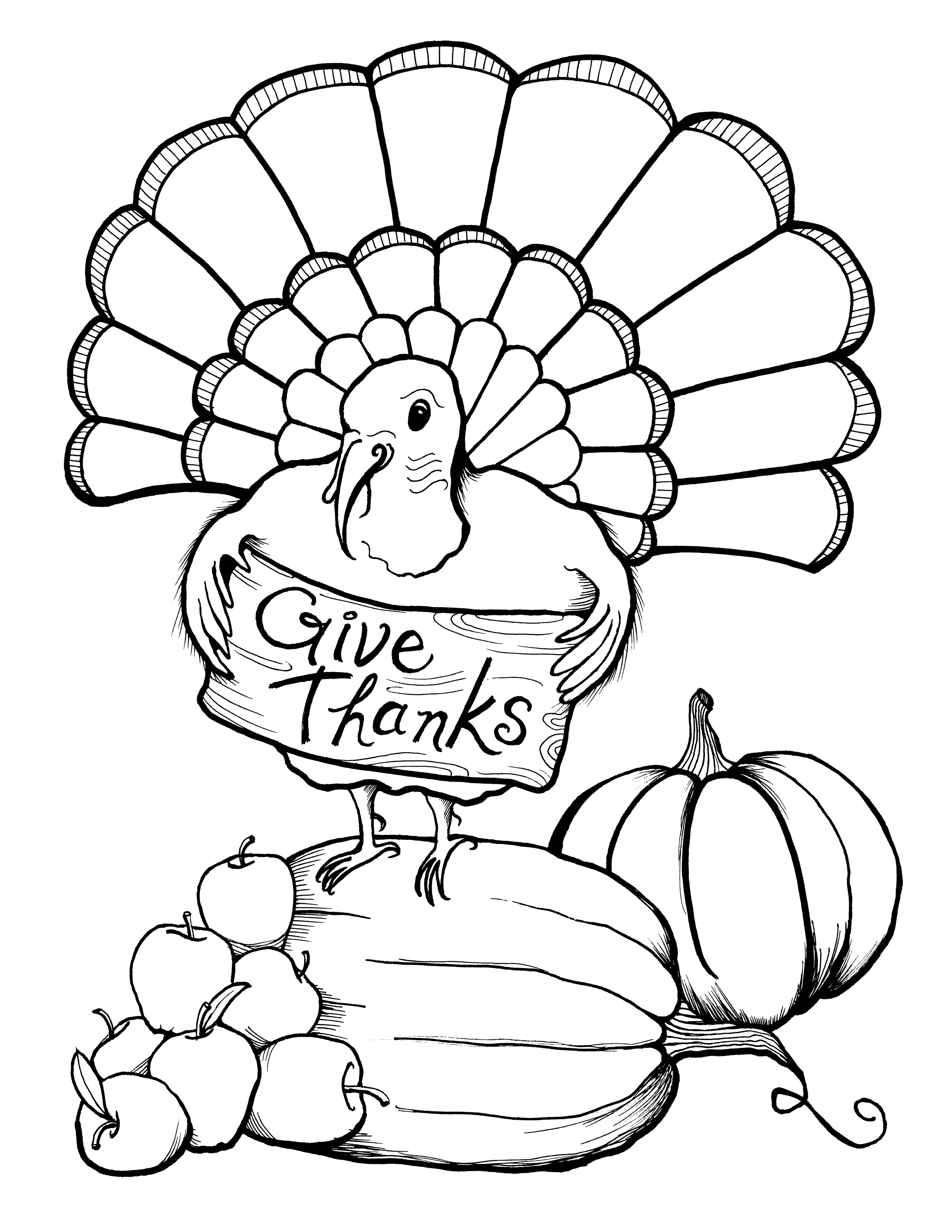Pavo #7736