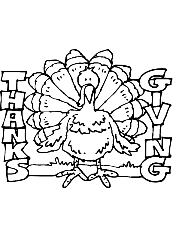 Pavo #7739