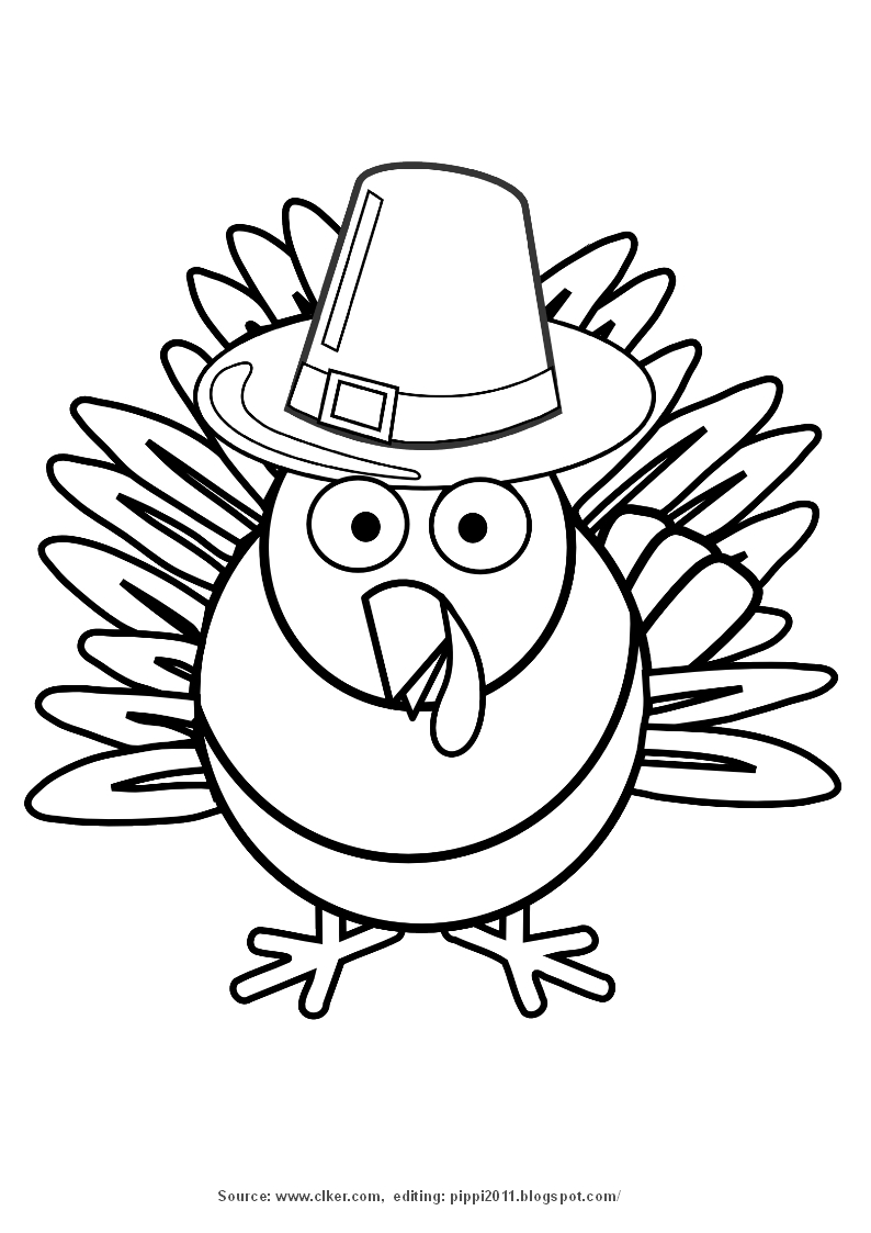 Pavo #7742