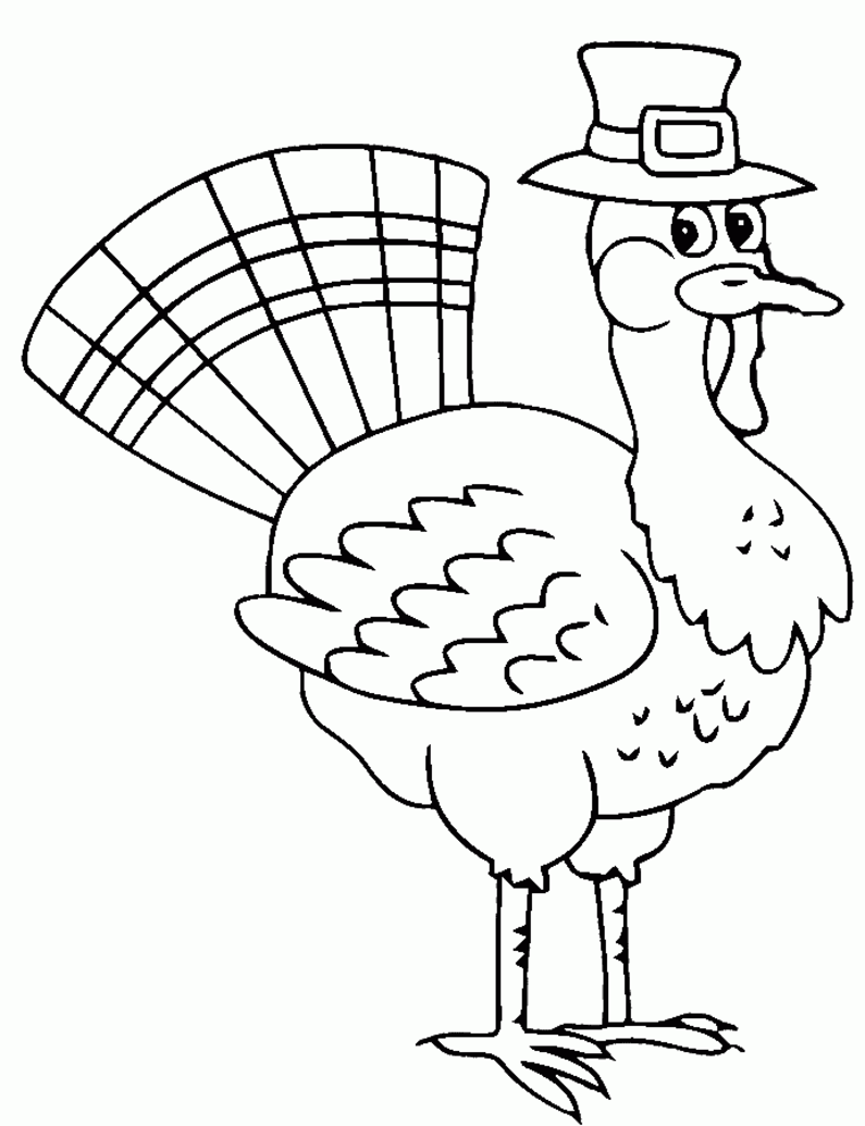 Pavo #7743