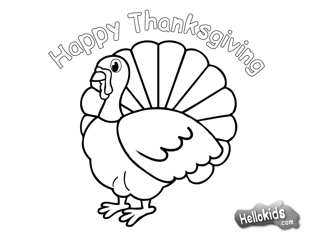 Pavo #7748