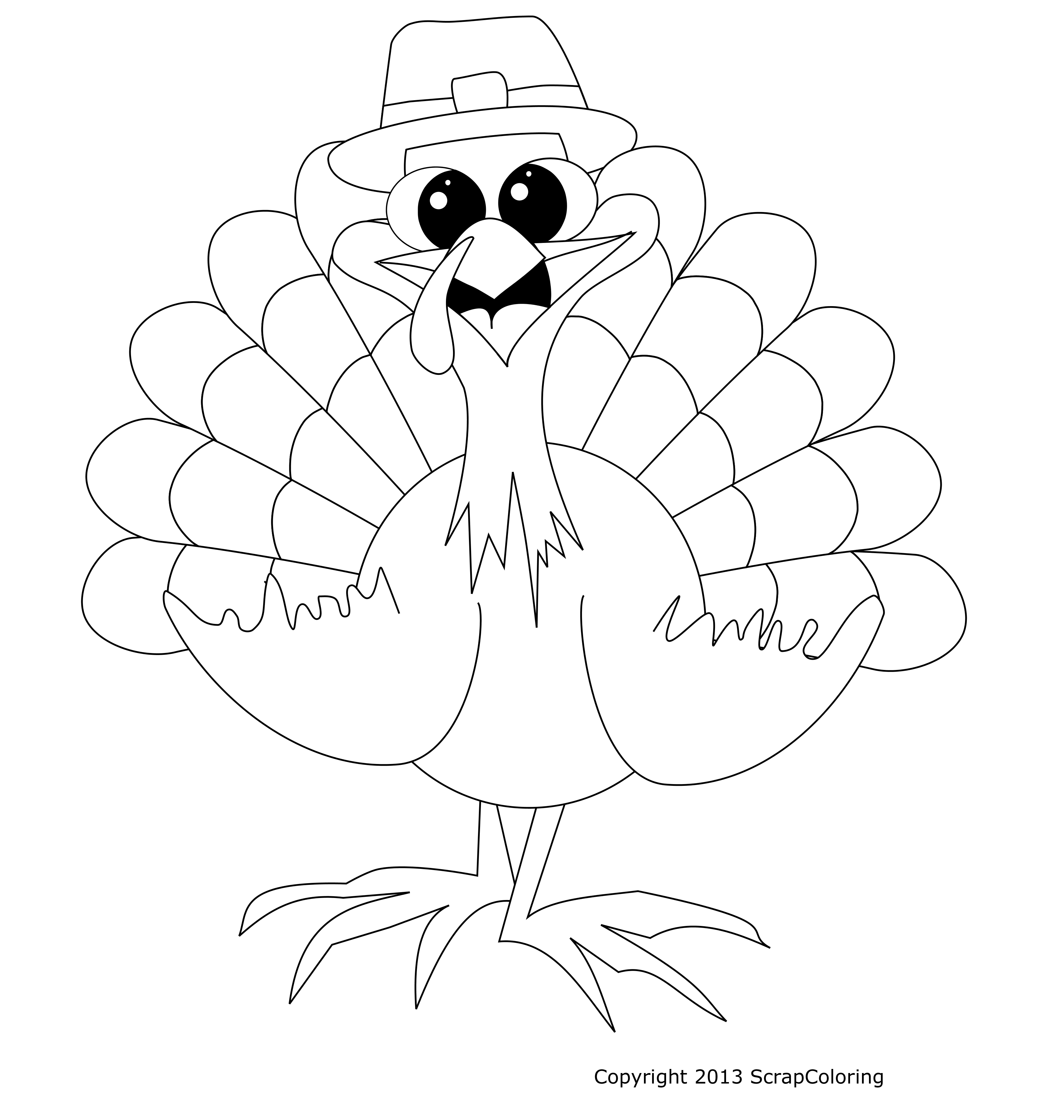 Pavo #7750
