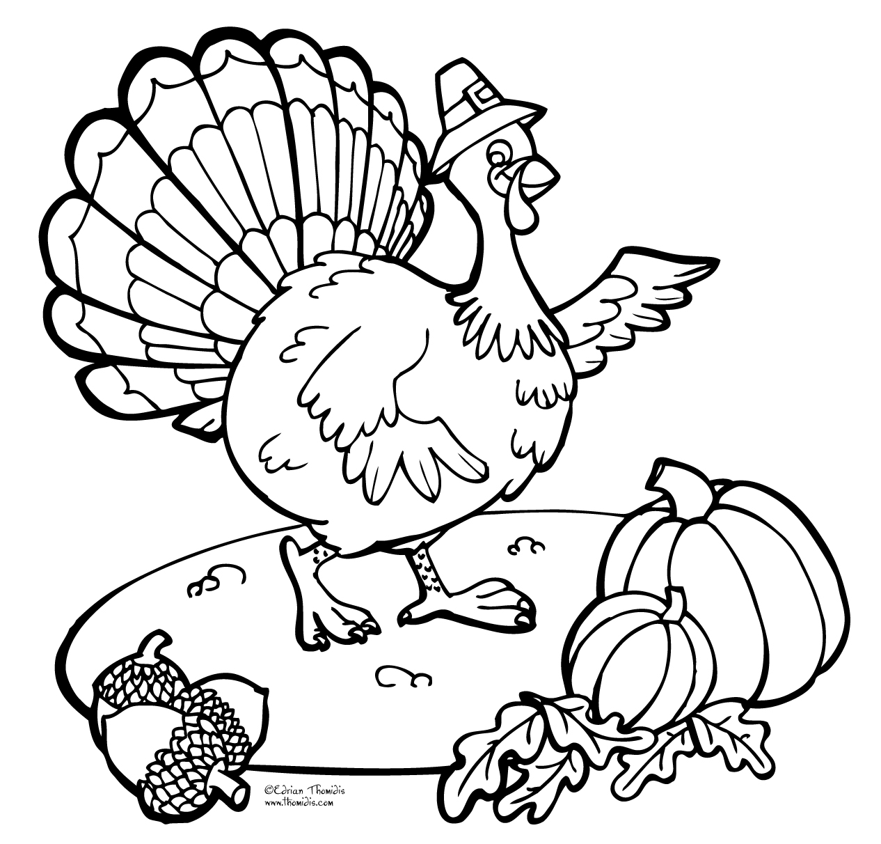 Pavo #7758