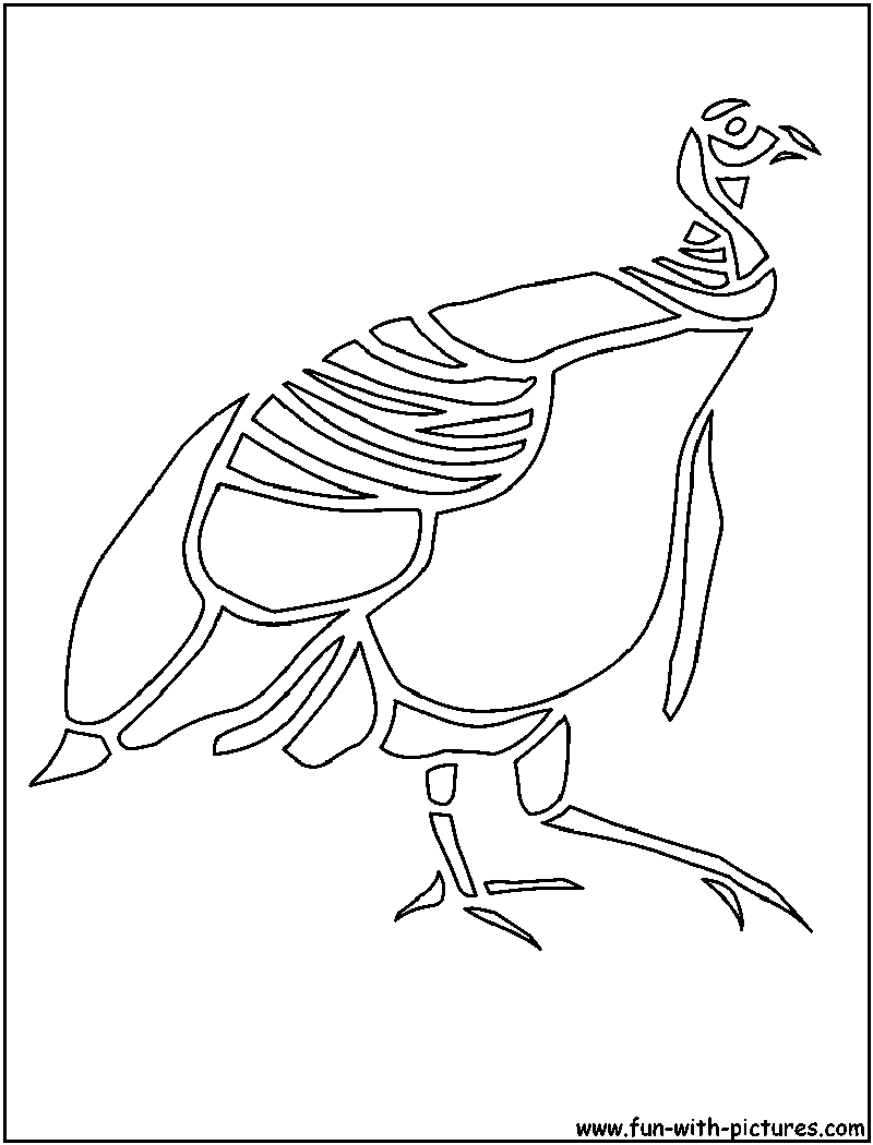 Pavo #7759