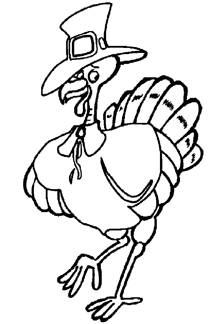 Pavo #7760