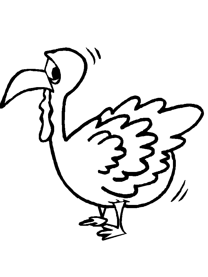 Pavo #7761