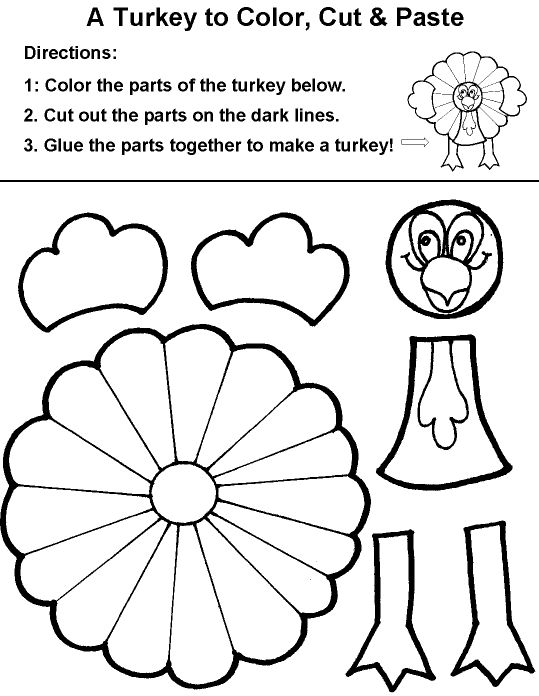 Pavo #7763