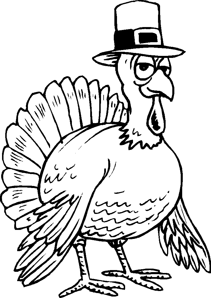 Pavo #7764