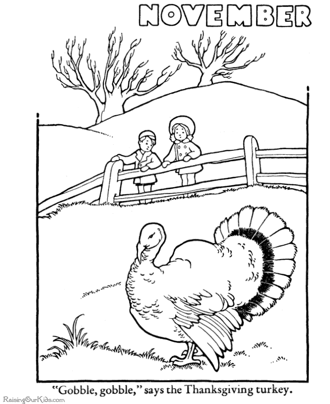 Pavo #7766