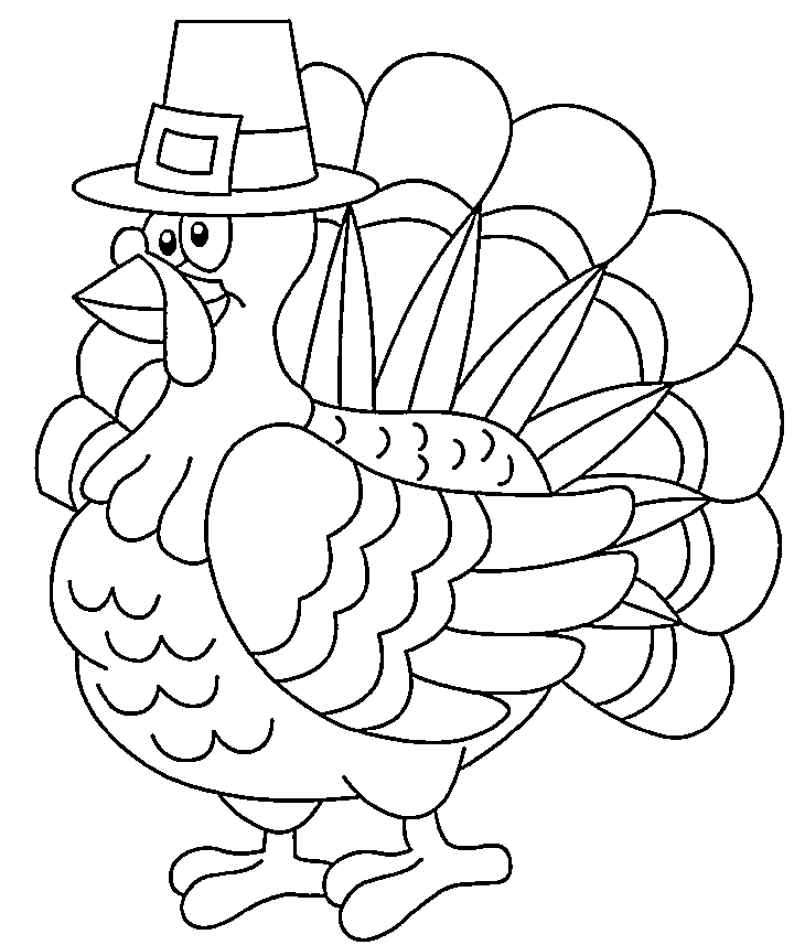 Pavo #7768