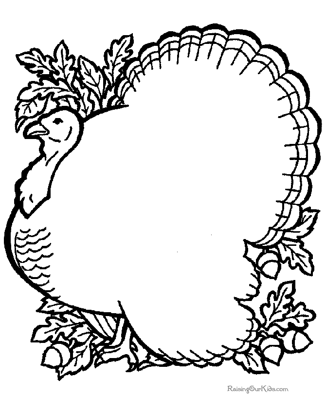 Pavo #7769