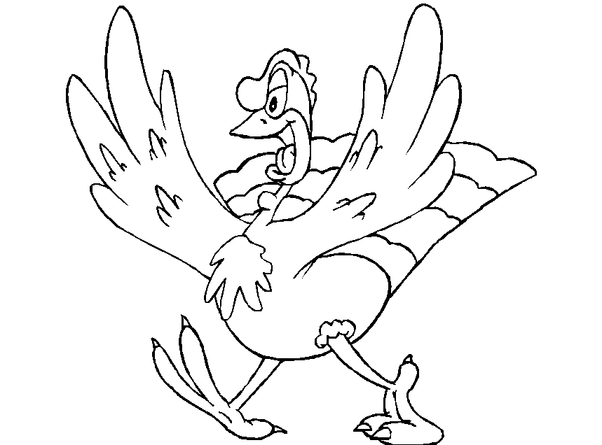 Pavo #7770