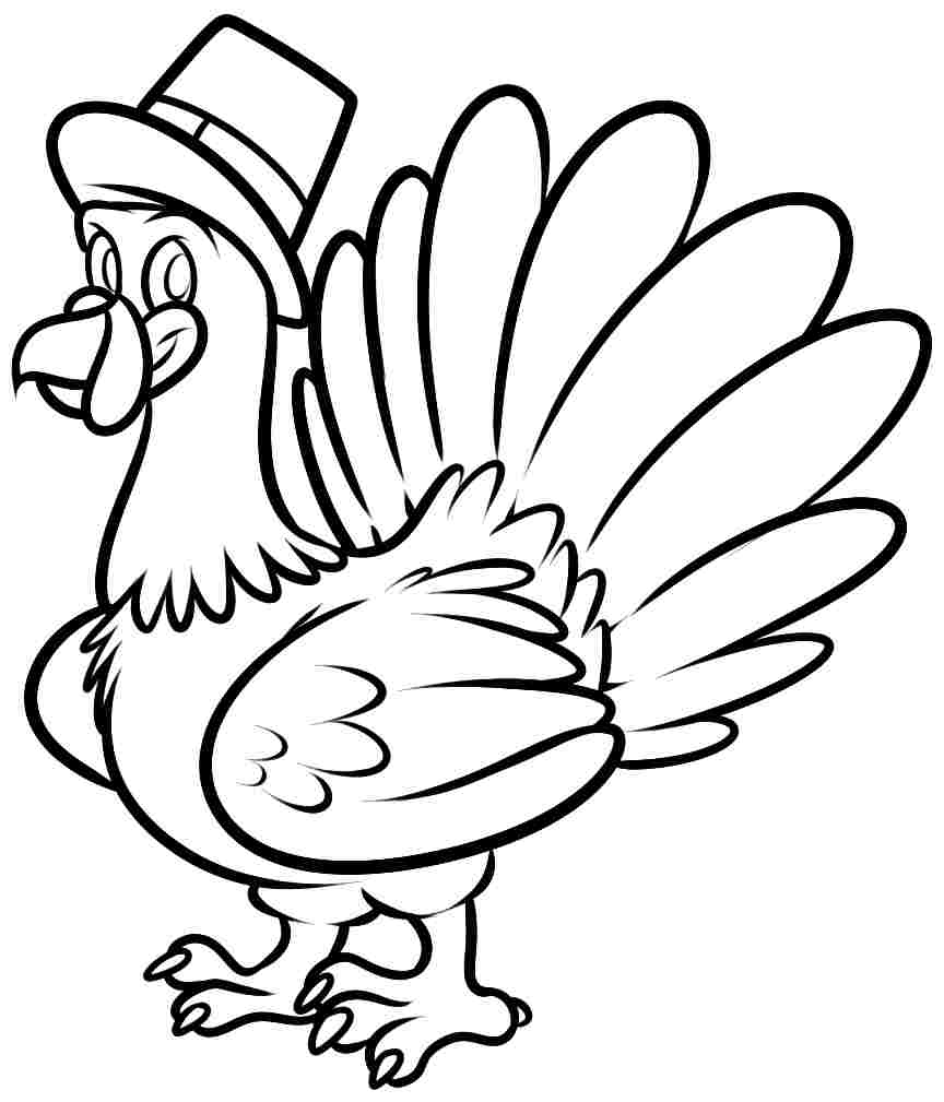 Pavo #7771