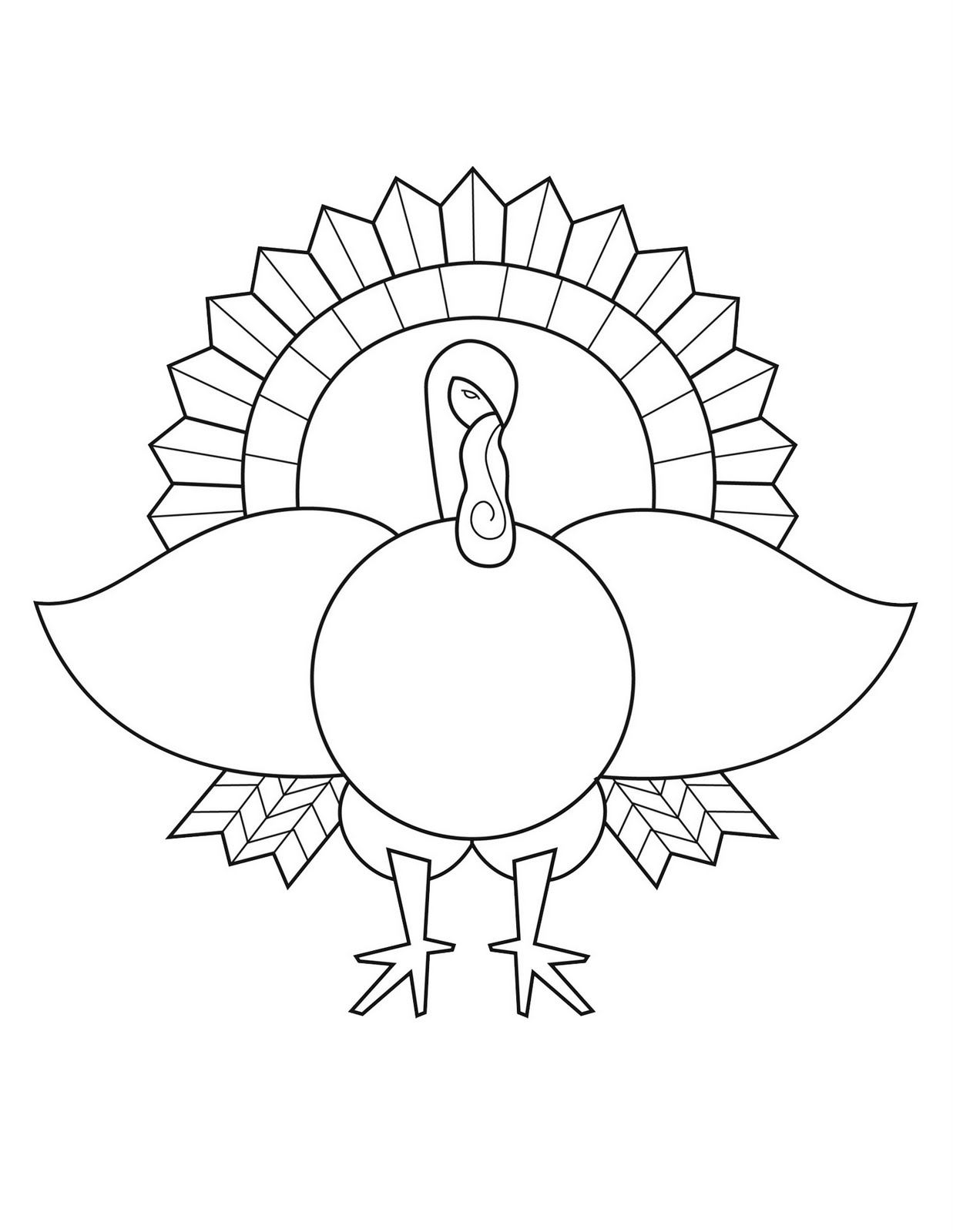 Pavo #7772