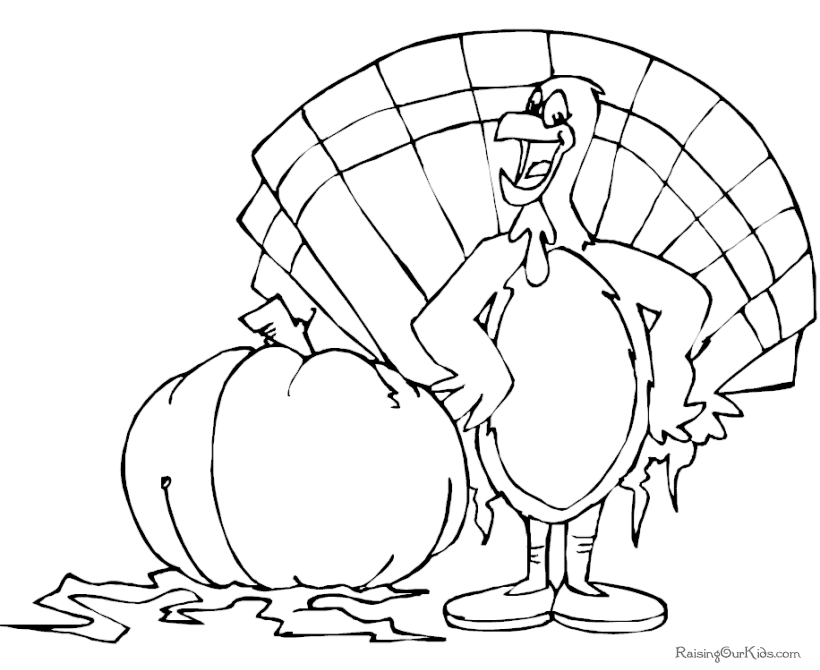 Pavo #7775