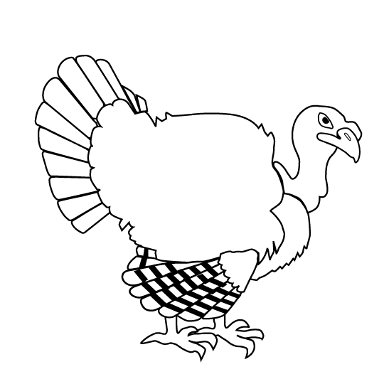 Pavo #7776