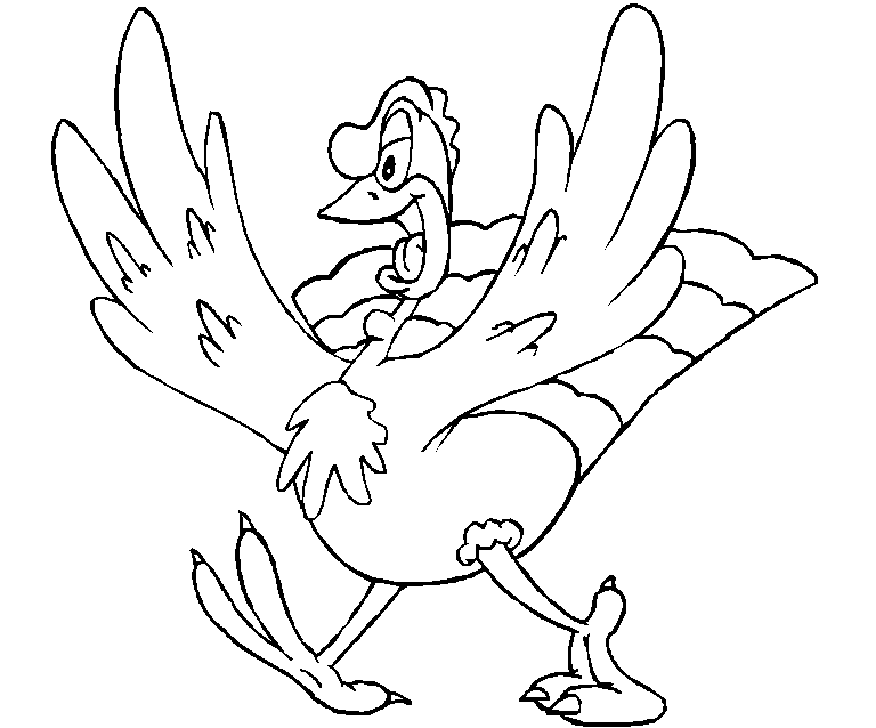 Pavo #7777