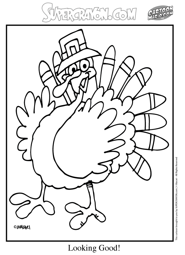 Pavo #7778