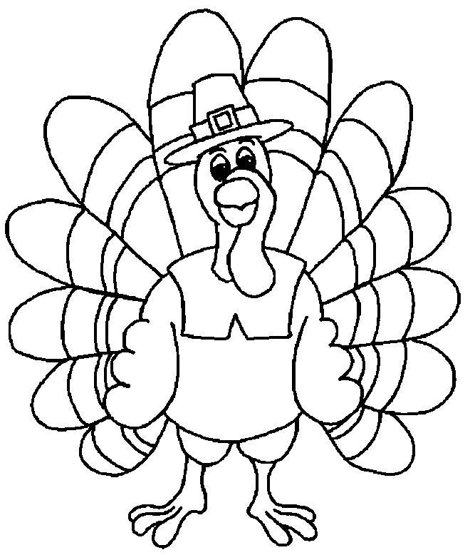 Pavo #7780