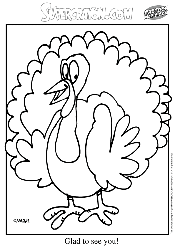 Pavo #7781