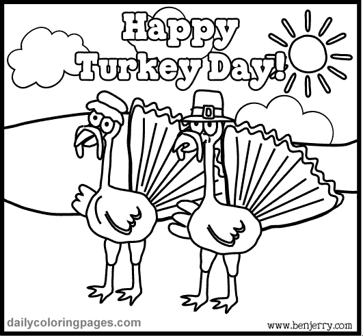 Pavo #7782