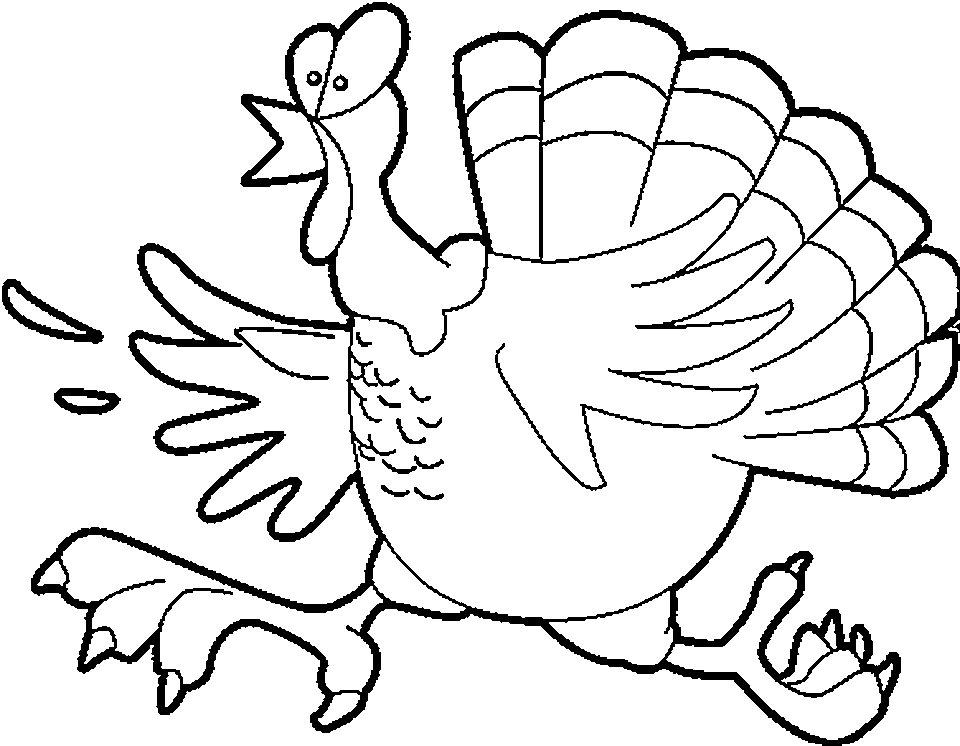 Pavo #7783