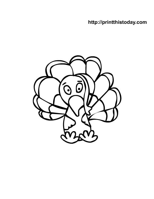 Pavo #7785