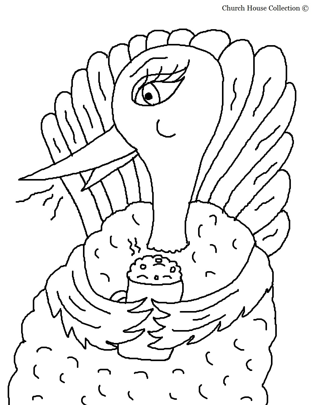 Pavo #7788