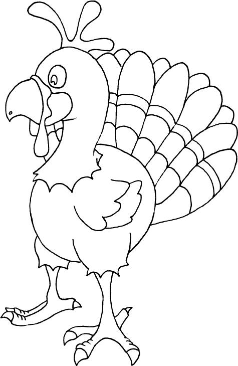 Pavo #7790